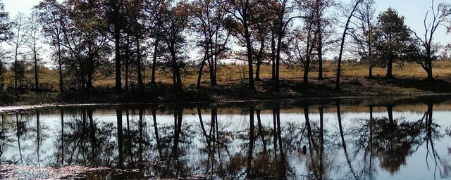 the land in Paris TX